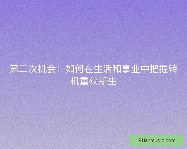 第二次机会：如何在生活和事业中把握转机重获新生