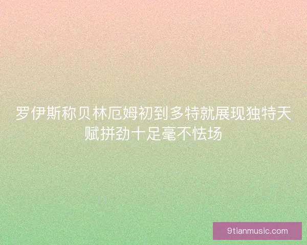 罗伊斯称贝林厄姆初到多特就展现独特天赋拼劲十足毫不怯场